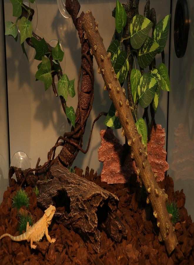 AQUA KT Reptile Hideout Tree Trunk Hollow Log Cork Bark for Lizard Bearded Dragon Snake Chameleon Hermit Crab Leopard Gecko Terrarium Habitat Decoration - Image 2